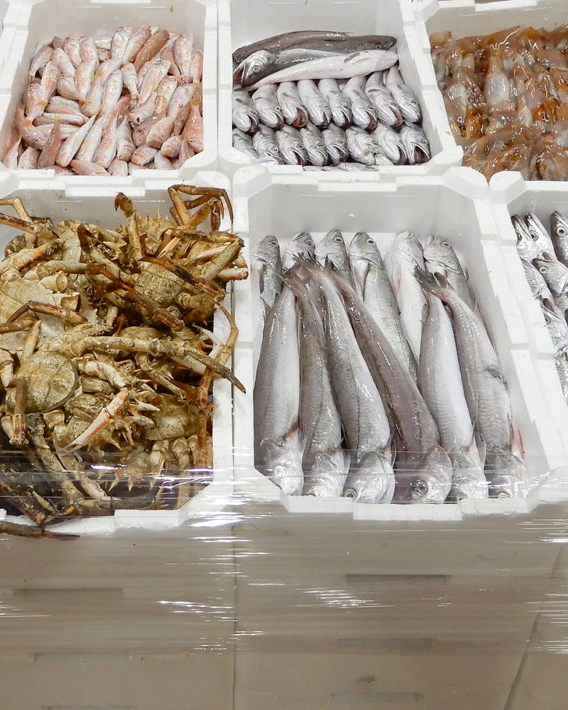 Asta del pesce al Mercato Ittico di Ancona
