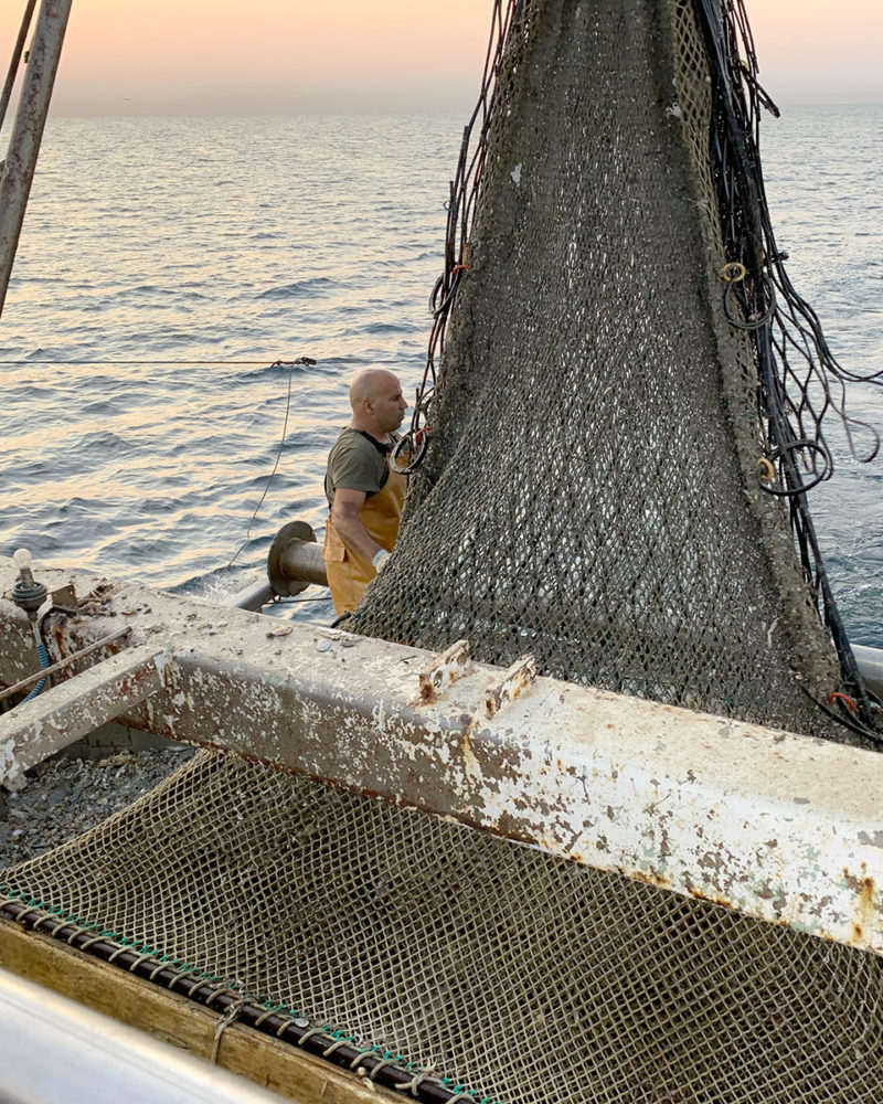 Attività di pesca nel Mare Adriatico